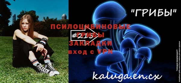 стаф Алексеевка