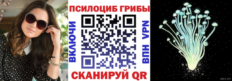 кракен ссылки  Мещовск  Псилоцибиновые грибы Psilocybe  наркота 